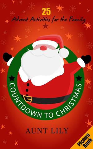 Cover of Countdown to Christmas - 25 Advent Activities for Family