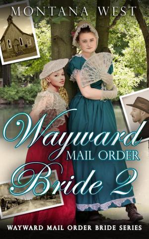 Cover of the book Wayward Mail Order Bride 2 by Ruth Price, Rebecca Price