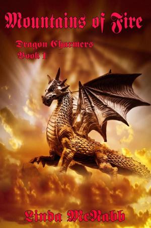 Cover of the book Mountains of Fire by IB Smart