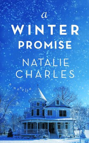 Cover of A Winter Promise