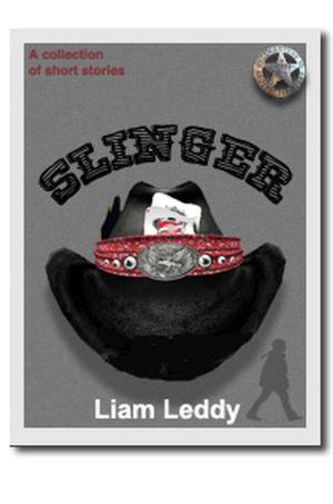 Cover of the book Slinger by Liam Leddy