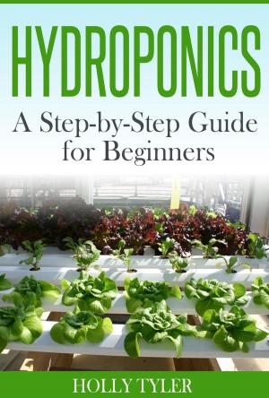 Cover of Hydroponics: A Step-by-Step Guide for Beginners