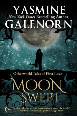 Cover of the book Moon Swept by Sandy Wolters