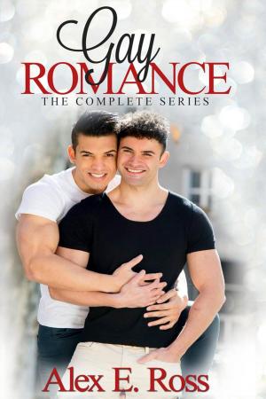 Cover of Gay Romance - The Complete Series