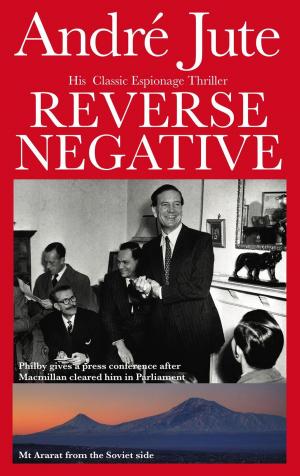 Cover of the book Reverse Negative by Andre Jute, Andrew McCoy