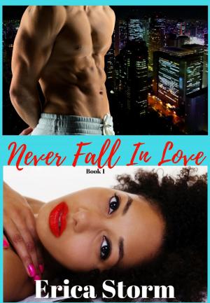Cover of the book Never Fall In Love by T.L. Adams