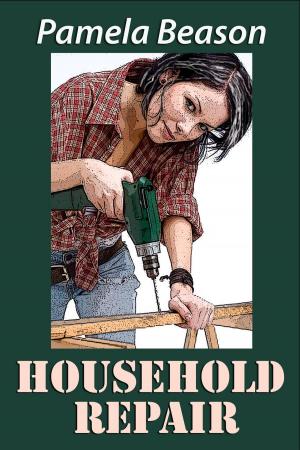 Cover of the book Household Repair: A Short Story by Mark Twain