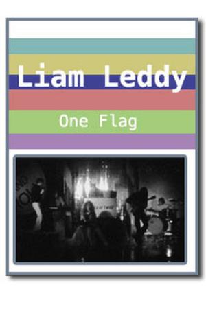 Cover of the book One Flag by Liam Leddy