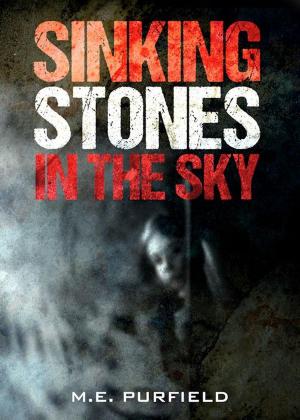 Book cover of Sinking Stones in the Sky