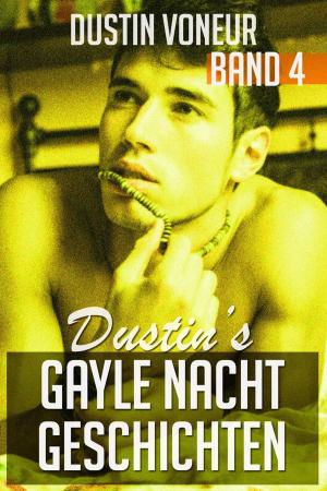Cover of the book Dustin's Gayle Nacht Geschichten: Band 4 by Dustin Voneur