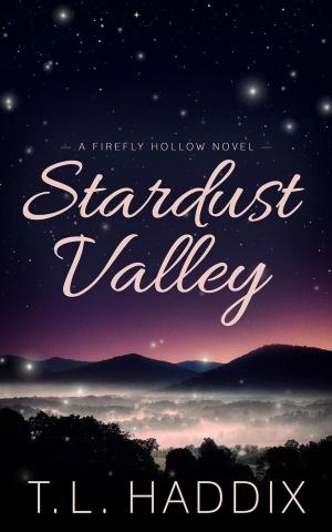 Cover of the book Stardust Valley by T. L. Haddix