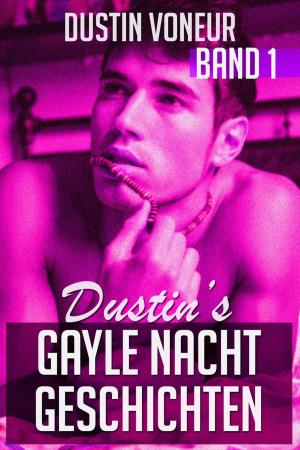 Cover of the book Dustin's Gayle Nacht Geschichten: Band 1 by Dustin Voneur