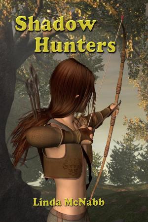 Book cover of Shadow Hunters