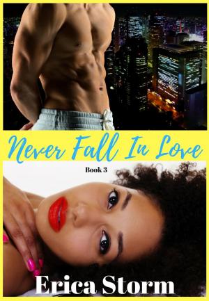 Cover of the book Never Fall In Love Book 3 by Erica Storm