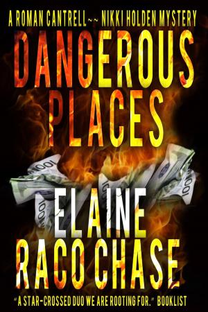 Cover of the book Dangerous Places by Don Wooldridge