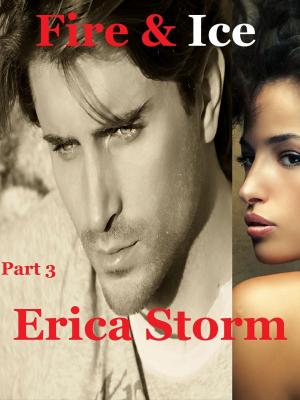 Cover of the book Fire and Ice by Erica Storm