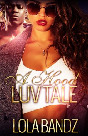 Book cover of A Hood Luv Tale