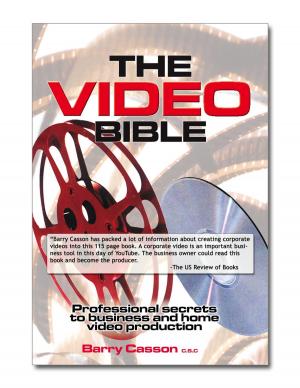 Cover of the book The Video Bible by Nicolas Truffinet