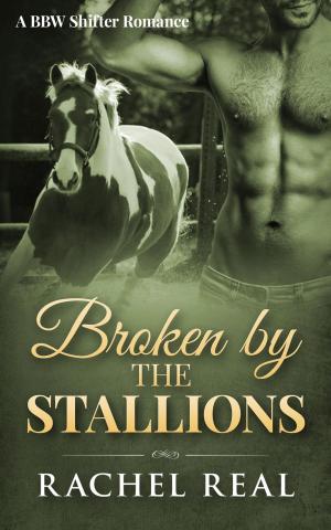 Cover of the book Broken by the Stallions by Rachel Real
