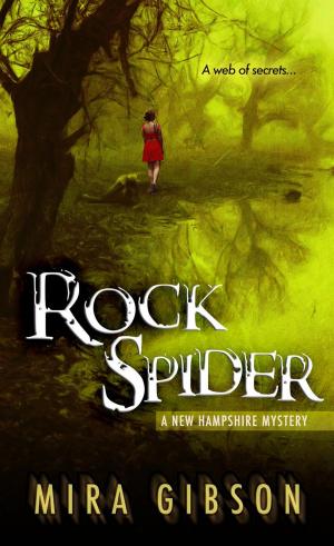 Cover of the book Rock Spider by Morgan Irwin