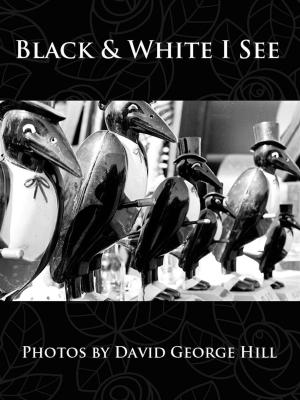Cover of the book Black & White I See by Selena Franceschi