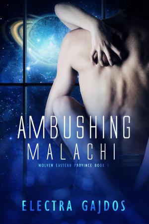 bigCover of the book Ambushing Malachi by 