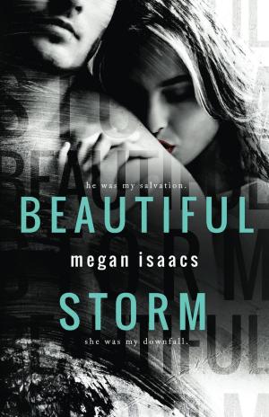Cover of the book Beautiful Storm by Lucinda Brazon