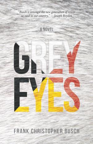 Cover of the book Grey Eyes by Richard Zurawski