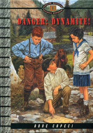 bigCover of the book Danger: Dynamite! by 