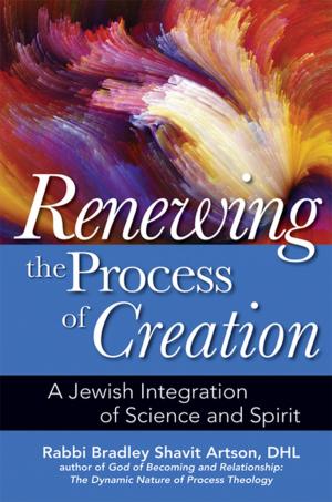 Book cover of Renewing the Process of Creation