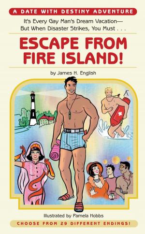 Cover of the book Escape from Fire Island! by Myrtle Reed