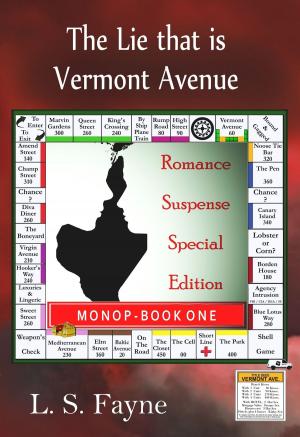 Cover of the book The Lie that is Vermont Avenue by Susan Hayes