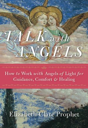 Cover of the book Talk with Angels by Luis Ruvalcaba
