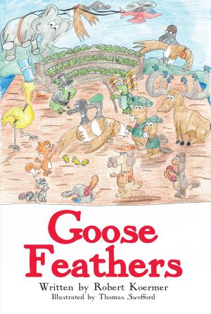 Cover of the book Goose Feathers by Patricia Zerman