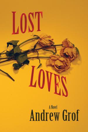 Cover of the book Lost Loves by David Stinebeck, Scannell Gill