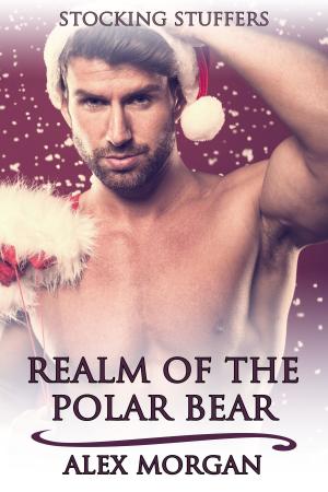 bigCover of the book Realm of the Polar Bear by 