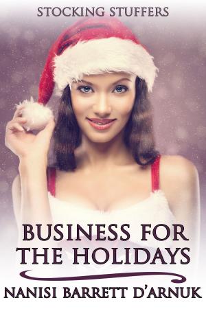 Cover of the book Business for the Holidays by Addison Albright