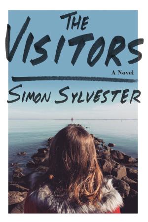 Cover of the book The Visitors by David Foster Wallace