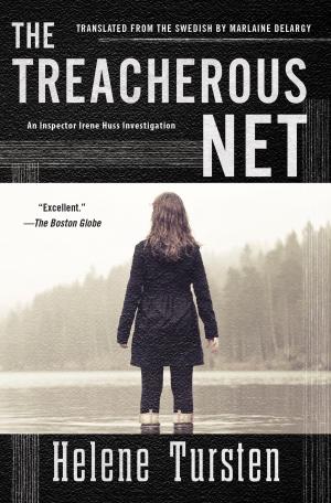 Cover of the book The Treacherous Net by Susan Corso