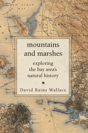 Cover of the book Mountains and Marshes by Olivier Rolin