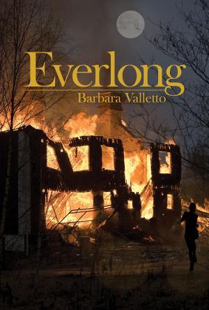 bigCover of the book Everlong by 