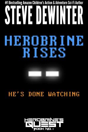 Cover of the book Herobrine Rises by Steve Matthew Benner
