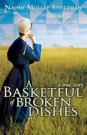 Cover of the book A Basketful of Broken Dishes by Elisa Pompili