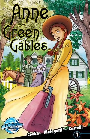 Cover of the book Anne of Green Gables #1 by Mike Maydak, Darren Davis, Mike Maydak, Blackbeard Legacy
