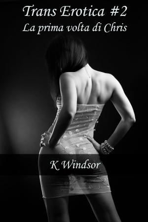 Cover of the book Trans Erotica #2 by K Windsor