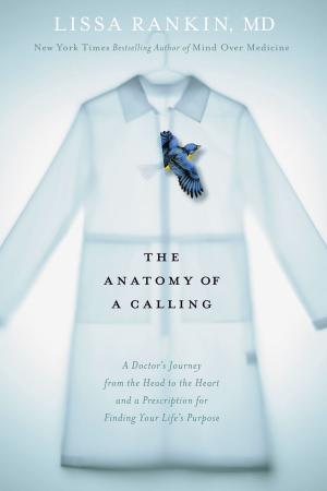 Cover of the book The Anatomy of a Calling by Waldo Vieira