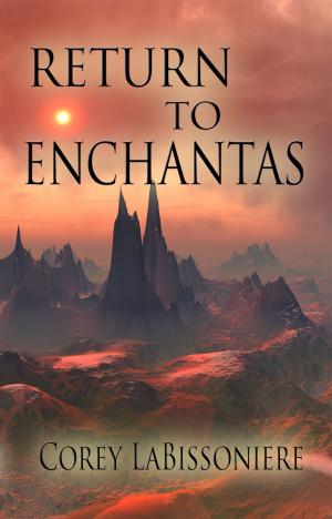 Cover of the book Return to Enchantas by Merrill J. Davies
