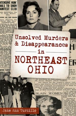 bigCover of the book Unsolved Murders &amp; Disappearances in Northeast Ohio by 