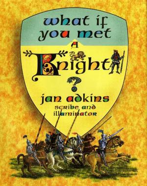Cover of the book What If You Met a Knight? by Bridie Clark