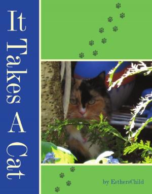 Cover of the book It Takes A Cat by Brenda Kimsey Warneka, Carol Hughes, Lois McFarland, June P. Payne, Sheila Roe, Pam Knight Stevenson